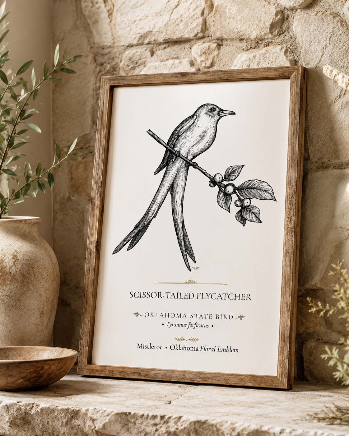Scissor-Tailed Flycatcher Art Print, Oklahoma State Bird, Vintage Nature Wall Art