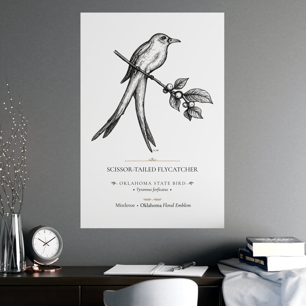 Scissor-Tailed Flycatcher Art Print, Oklahoma State Bird, Vintage Nature Wall Art